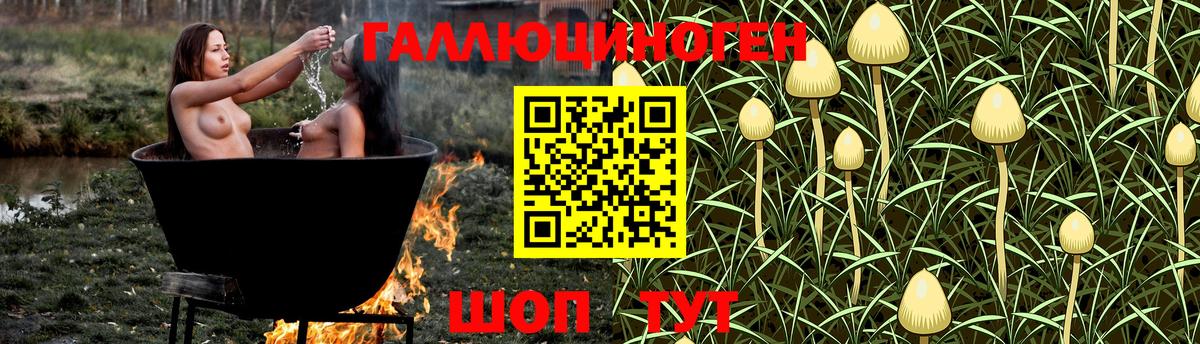 Псилоцибиновые грибы мухоморы Сатка